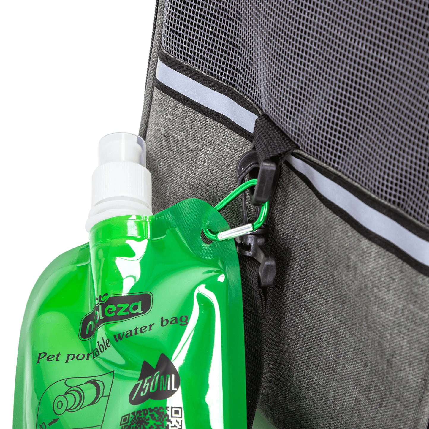 Gourde pour animaux de compagnie