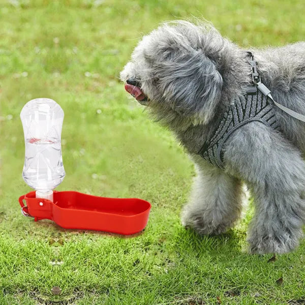 Gourde de voyage pour animaux
