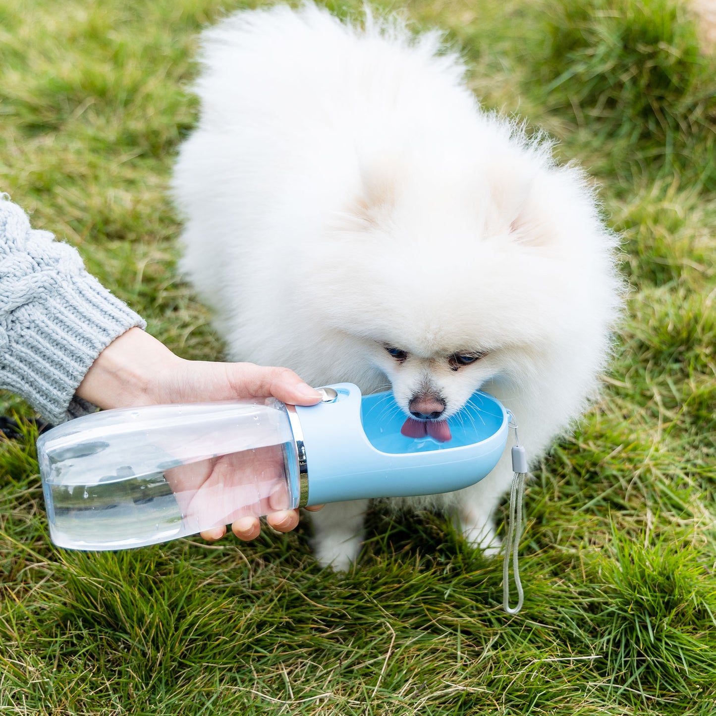 Pet Travel Bottle