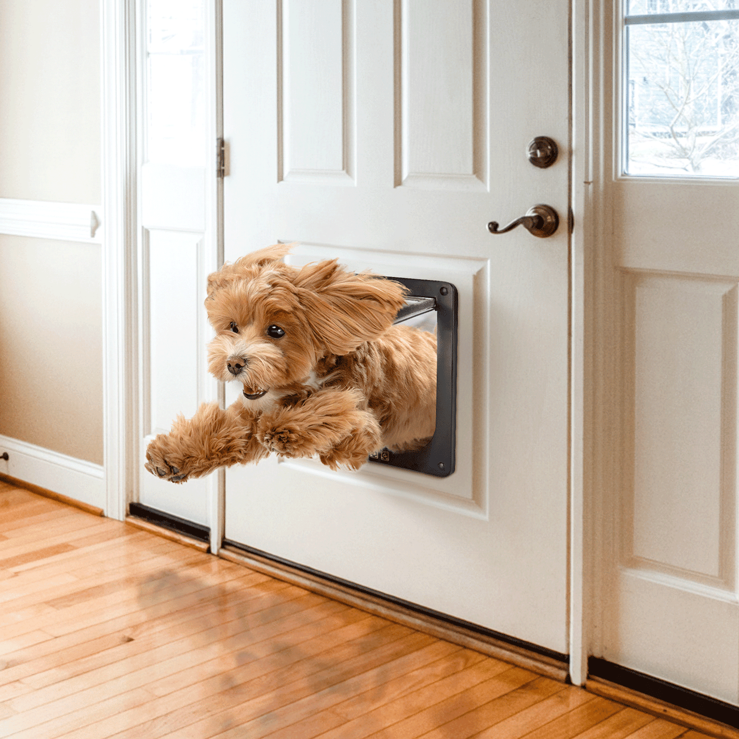 Trappe pour animaux de compagnie