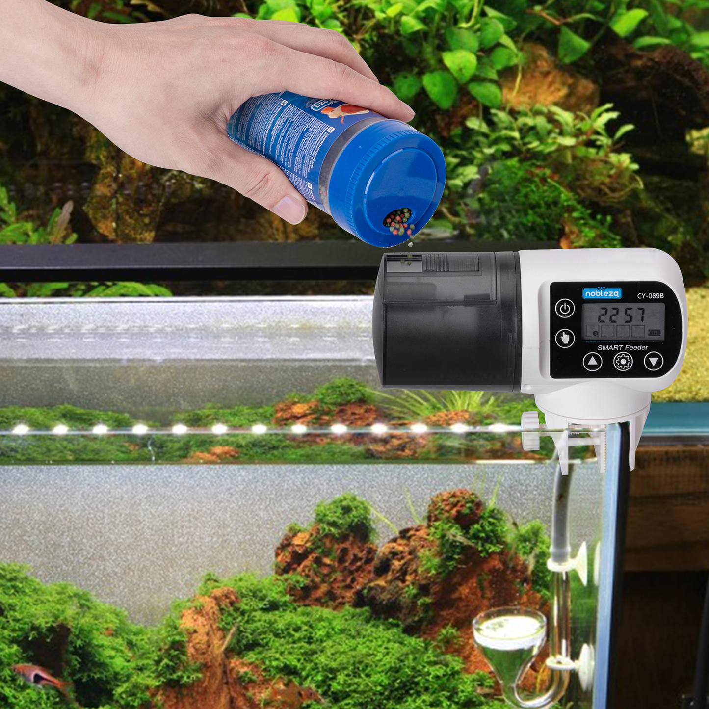 Mangeoire automatique pour poisson