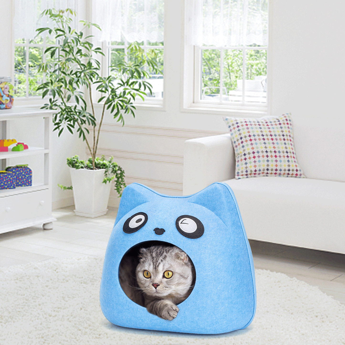 Maison tête de chat bleu