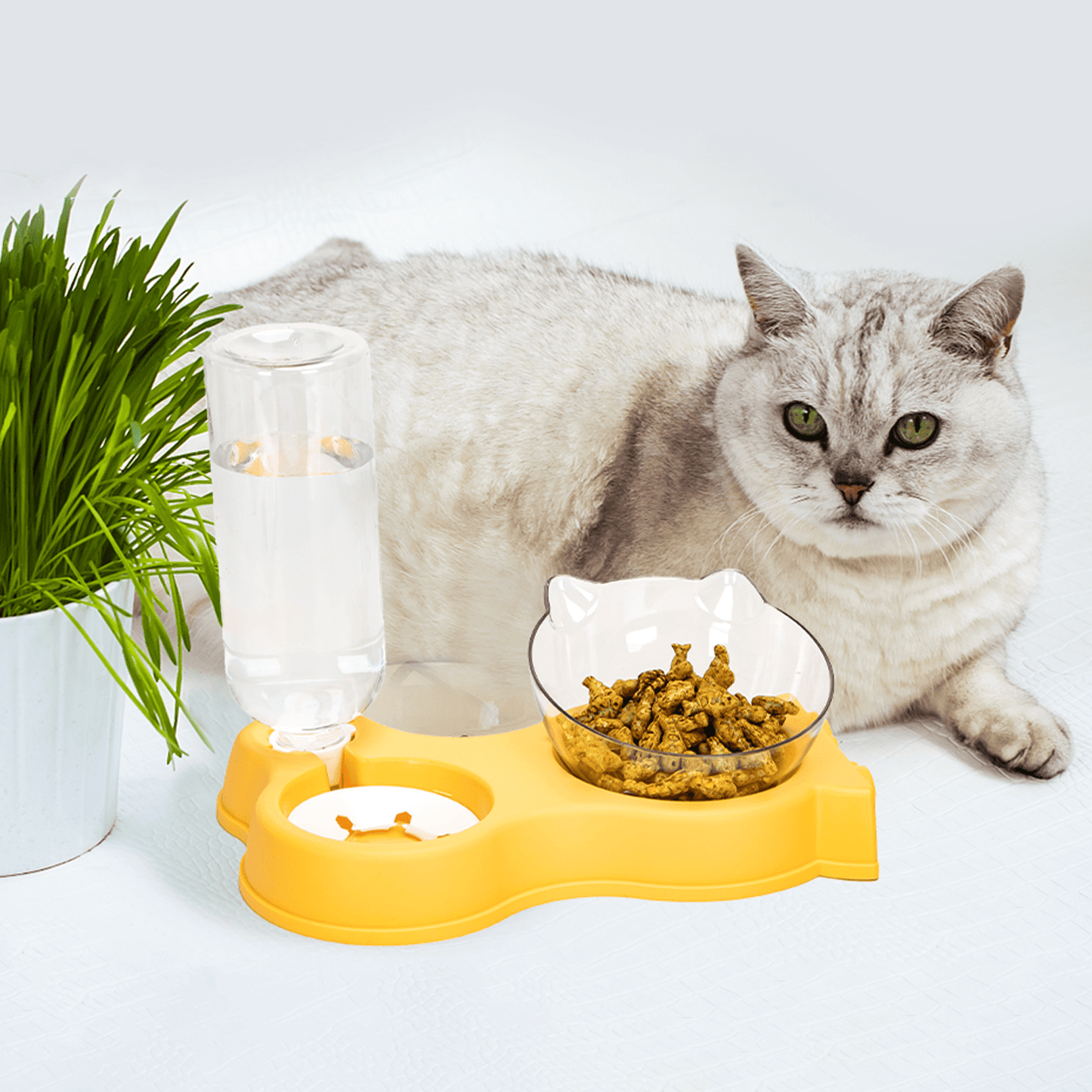 Ensemble de gamelles nourriture et eau pour chat