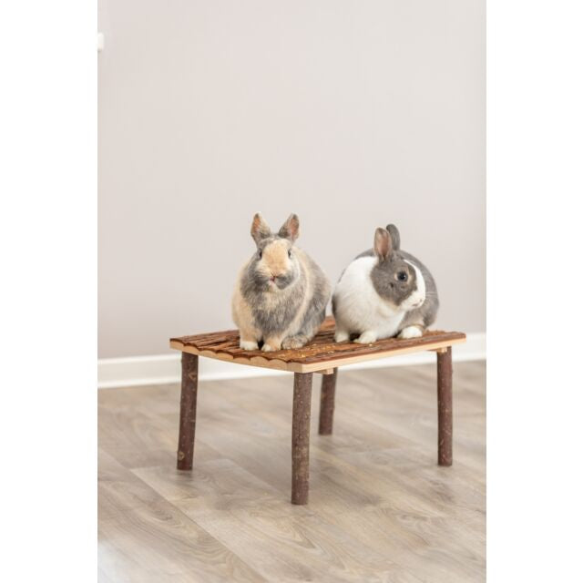 Abri et plate-forme pour lapin et cochon d’Inde