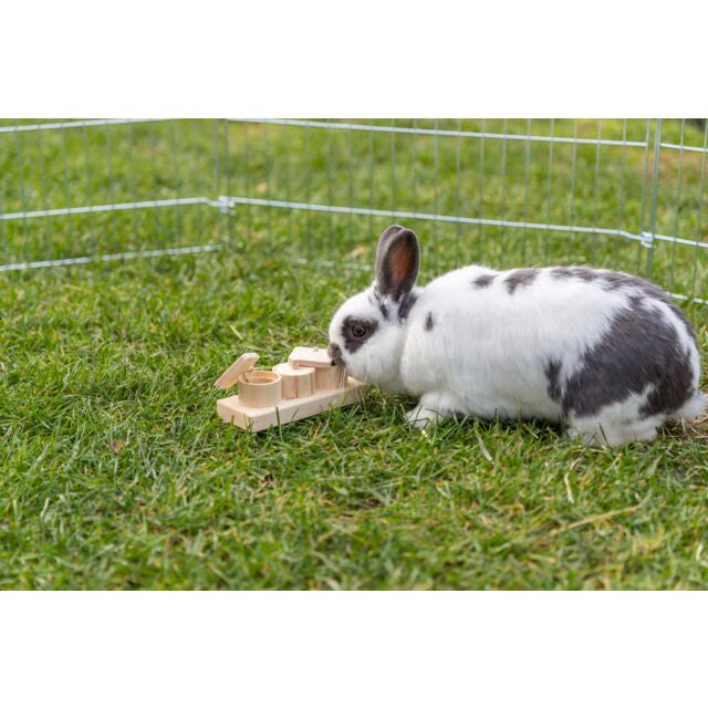 Snack Cups pour rongeur et oiseau