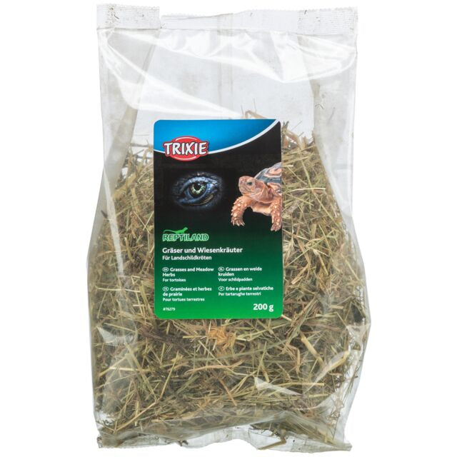 Graminées et herbes de prairies pour tortue