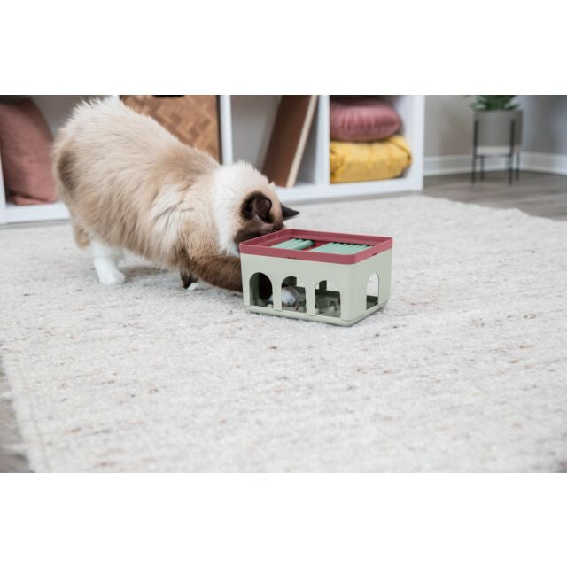 Rod Box jeu de stratégie pour chat