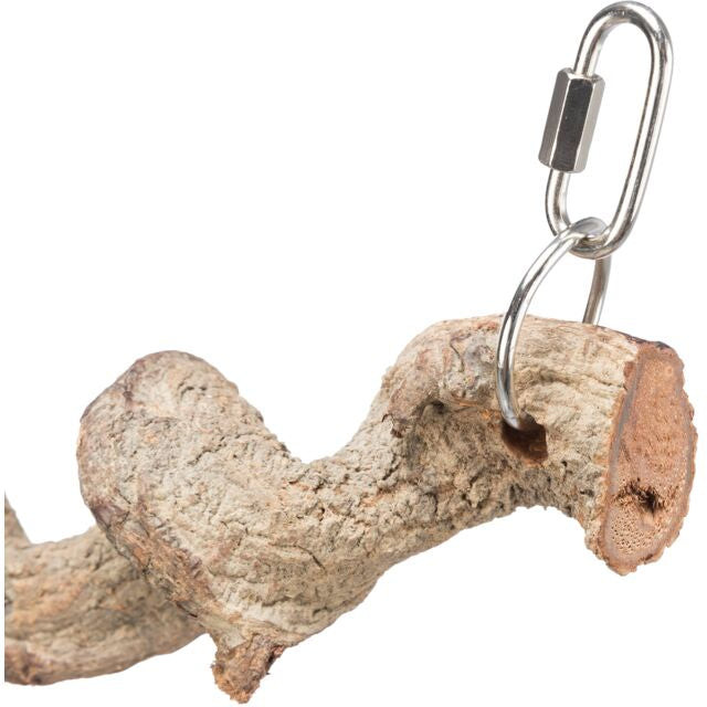 Perchoir en dragon wood