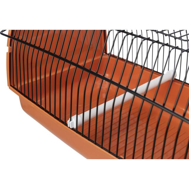 Box de transport pour oiseau ou petit animal