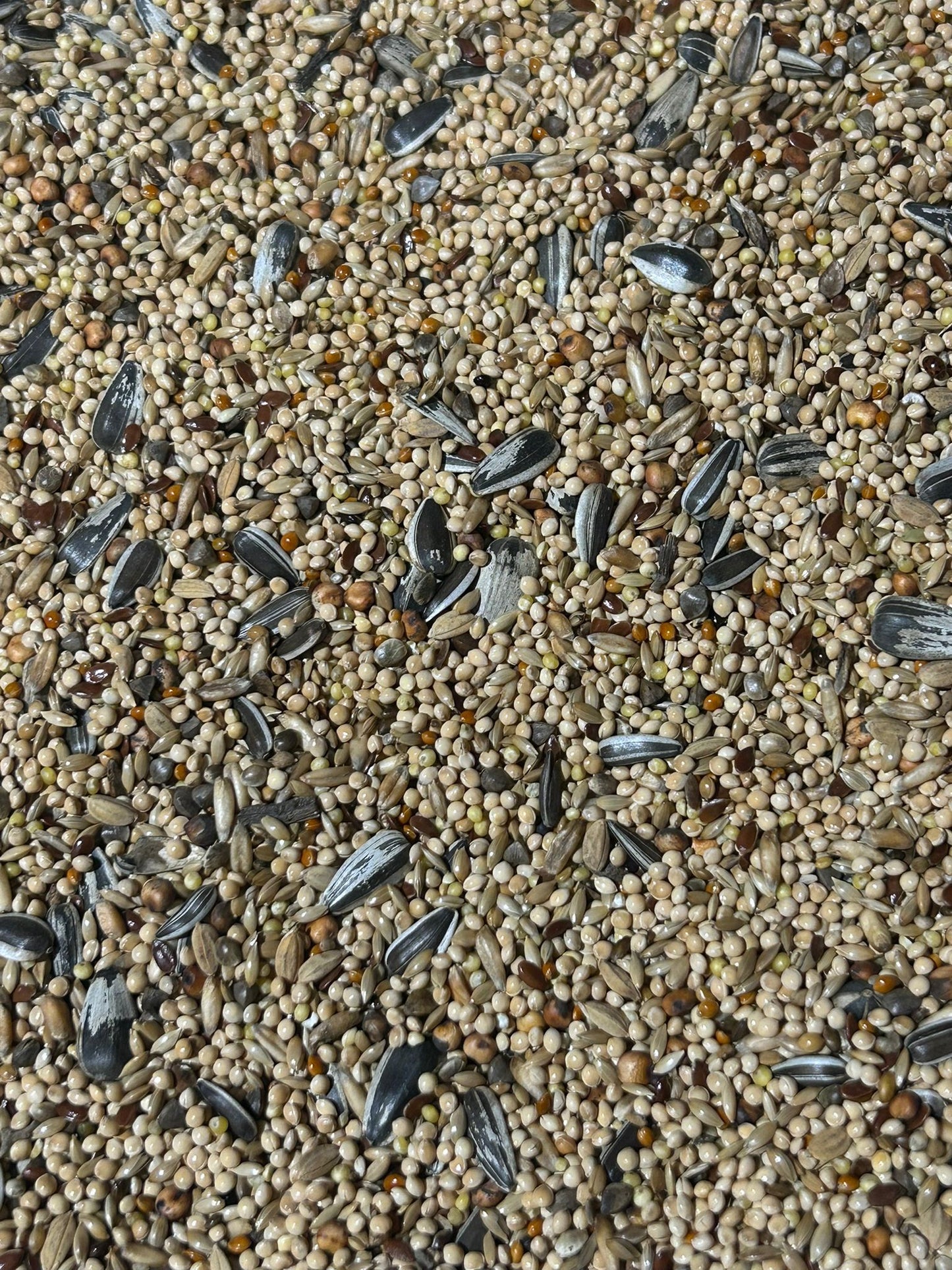 Mélange grande perruche